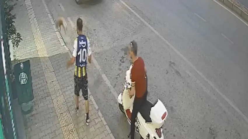 Sokak kedisine şiddet uygulayan şahıs yakalandı: Adliyeye sevk edildi haberinin görseli