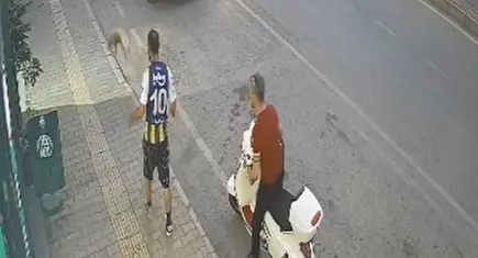 Sokak kedisine şiddet uygulayan şahıs yakalandı: Adliyeye sevk edildi