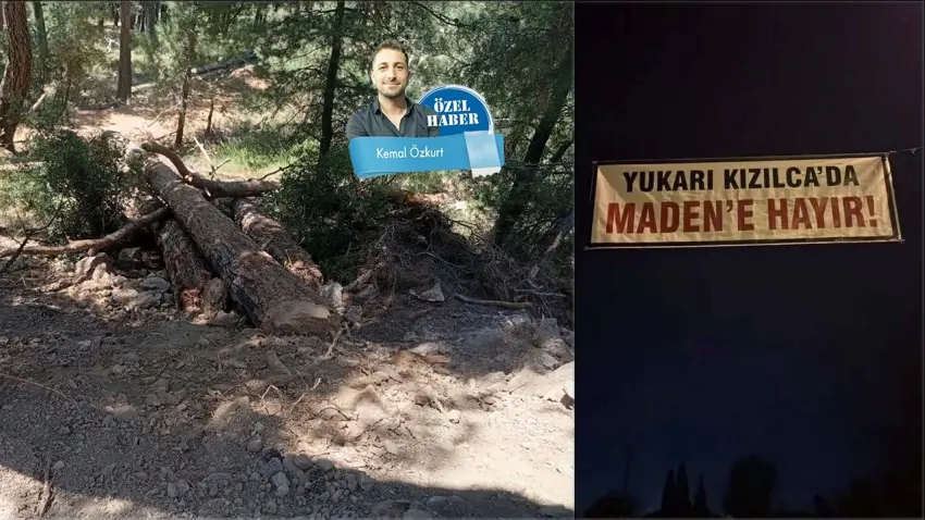 Yukarıkızılca’da maden sınavı: Ağaçlar kesildi maden yolu açıldı haberinin görseli