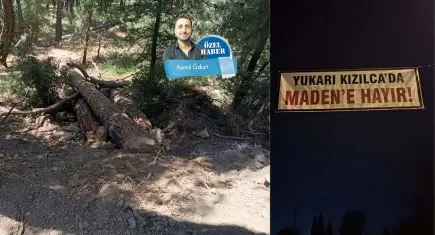 Yukarıkızılca’da maden sınavı: Ağaçlar kesildi maden yolu açıldı