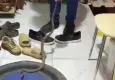 Antalya'da sıcaklar yılanları şehre indirdi: İtfaiyeye ihbar yağıyor