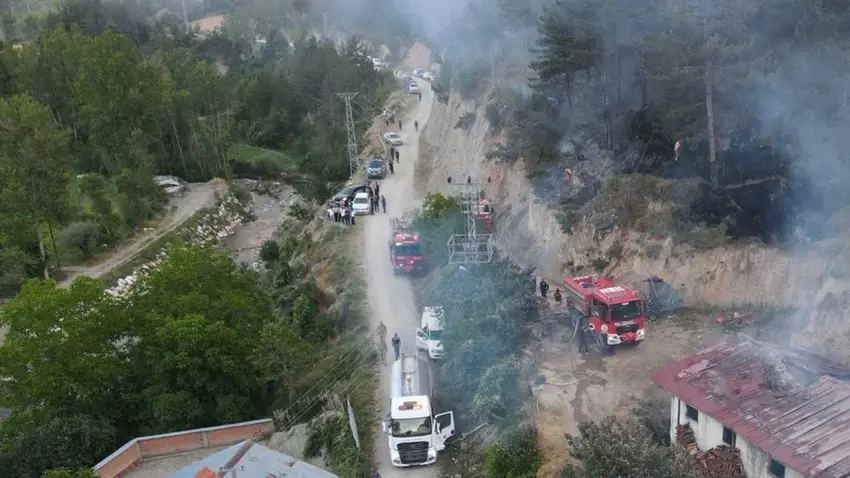 Kastamonu'da orman yangını! haberinin görseli