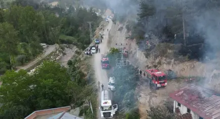 Kastamonu'da orman yangını!