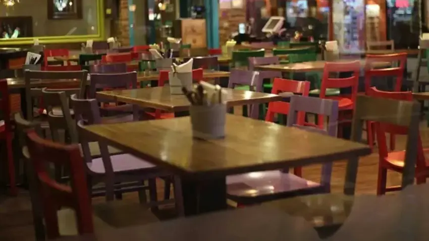 Restoran ve kafelerde evcil hayvanlara kapsamlı yasak gündemde haberinin görseli