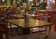 Restoran ve kafelerde evcil hayvanlara kapsamlı yasak gündemde