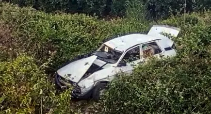 Arkadan çarpan otomobil yüzünden araç narenciye bahçesine devrildi: 2'si çocuk 4 yaralı