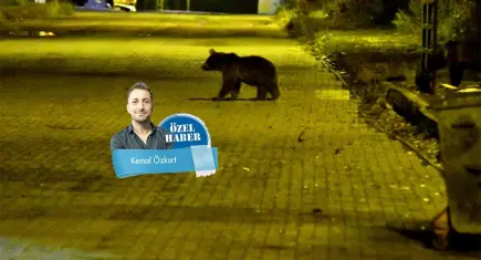 Doğal dengeyi yitirdik: Yaban hayatı kapımıza dayandı