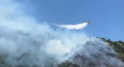 Narlıdere'de orman yangınına havadan ve karadan müdahale