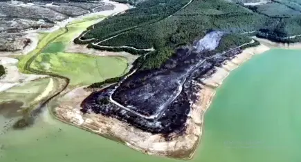 Tekirdağ'daki orman yangınında 80 dekarlık alan zarar gördü