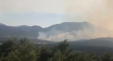 Antalya'da orman yangını