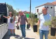 Bornova’da üreticiye destek sürüyor
