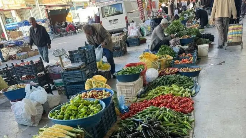 tarım