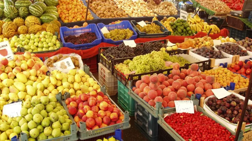 tarım