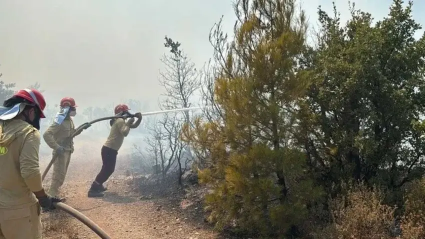 Balıkesir'de orman yangını haberinin görseli