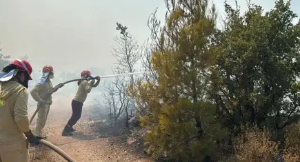 Balıkesir'de orman yangını