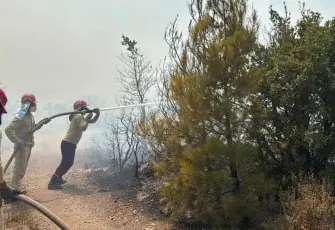 Balıkesir'de orman yangını