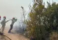 Balıkesir'de orman yangını