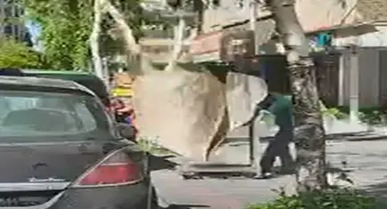 7. kattan başına halı düştü