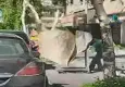 7. kattan başına halı düştü