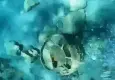 Muğla'da denizin dibindeki mayın imha edildi