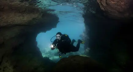 Seferihisar'ın su altı zenginliği dalış turizmine canlılık katıyor