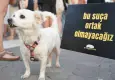Hayvan, Yaşam, Özgürlük İnisiyatifi'nden yeni kampanya: Yaşatan Bir Yasa İstiyoruz