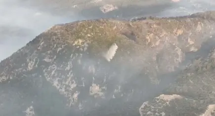 Muğla’daki orman yangını kontrol altına alındı: 350 hektar alan zarar gördü