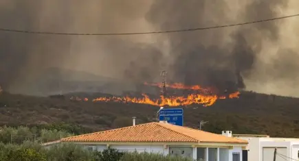 İspanya'da orman yangınları büyüyor: Madrid çevresinde acil durum ilan edildi