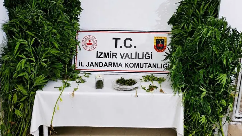 Ödemiş'te bahçesine hint keneviri eken şüpheli tutuklandı