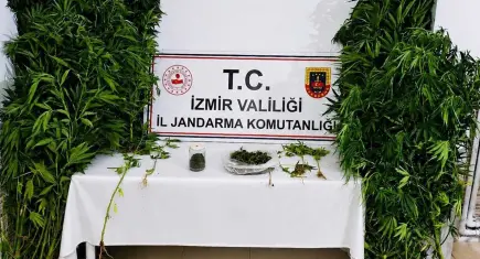 Ödemiş'te bahçesine hint keneviri eken şüpheli tutuklandı