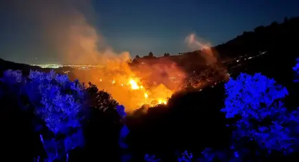 Ödemiş’te orman yangını