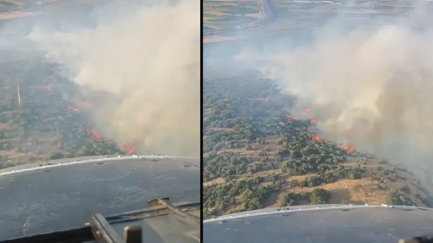 İzmir haber: Torbalı'da orman yangını! Ekipler seferber oldu haberinin görseli