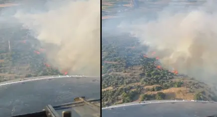 İzmir haber: Torbalı'da orman yangını! Ekipler seferber oldu