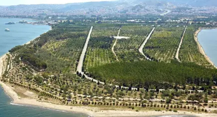 AK Partili Kaya’dan Kent Ormanı için güvenlik çıkışı