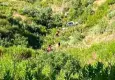 Antalya'da otomobil uçuruma yuvarlandı: 5 kişi hayatını kaybetti