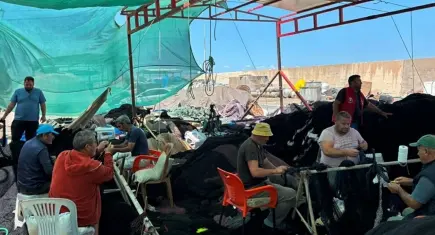 İzmirli balıkçılar yeni sezondan umutlu