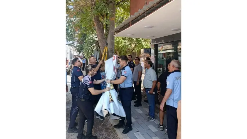 zabıta