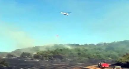 Tekirdağ'da orman yangını: 50 dönüm orman zarar gördü