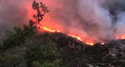 Antalya’da orman yangını