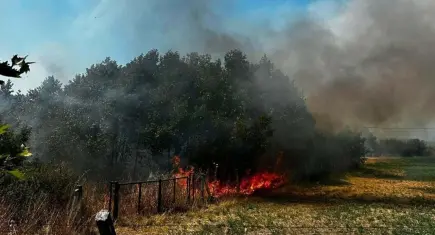 Çanakkale'deki otluk alan yangını 1 saatte kontrol altına alındı