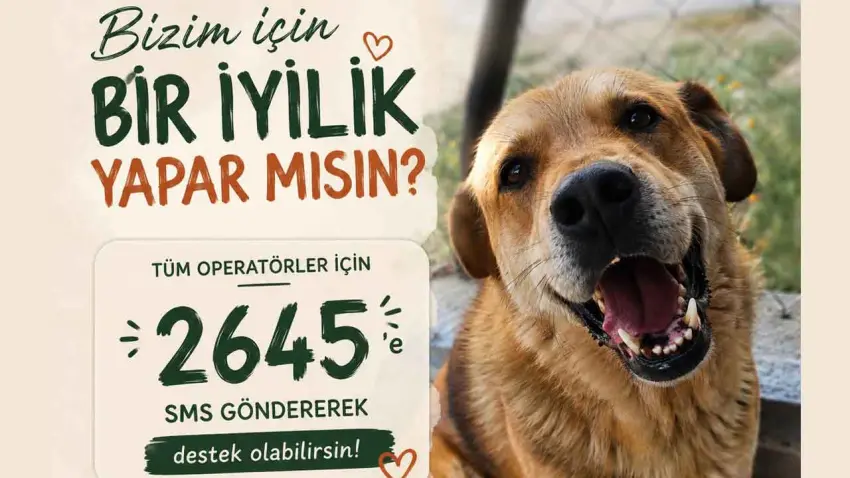 HAÇİKO'dan destek çağrısı: Bir SMS, bir cana umut olabilir haberinin görseli