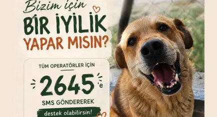 HAÇİKO'dan destek çağrısı: Bir SMS, bir cana umut olabilir