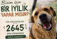 HAÇİKO'dan destek çağrısı: Bir SMS, bir cana umut olabilir