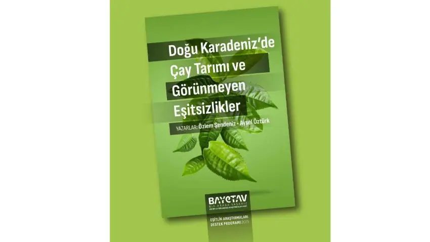 BAYETAV’dan yeni rapor: Çay tarımında büyüyen eşitsizlik alarmı haberinin görseli