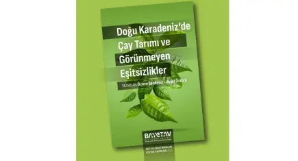 BAYETAV’dan yeni rapor: Çay tarımında büyüyen eşitsizlik alarmı