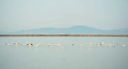 EÜ heyeti İzmir Kuş Cenneti'nde saha incelemelerinde bulundu