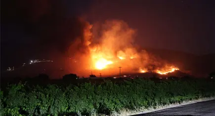 İzmir haber: Menemen'de makilik alanda çıkan yangın kontrol altına alındı