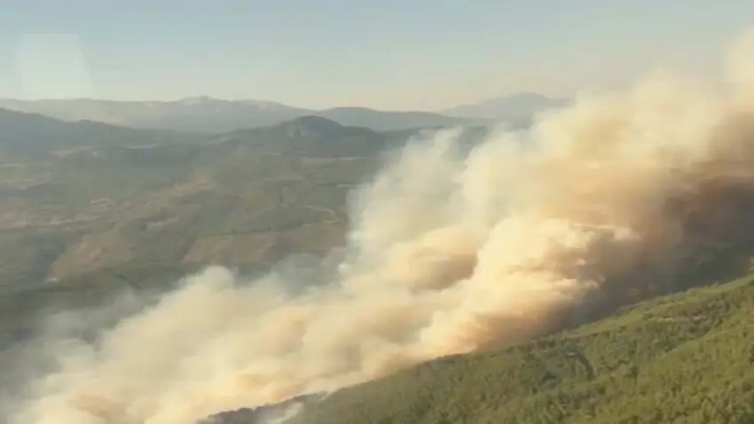 Muğla'da orman yangını! haberinin görseli