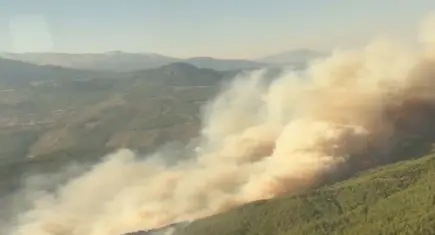 Muğla'da orman yangını!