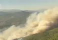 Muğla'da orman yangını!